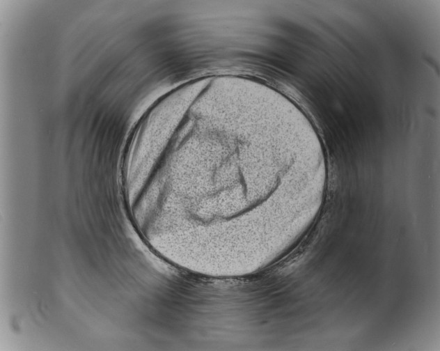 X0000098200803200805221540