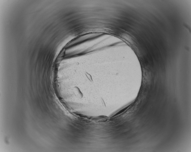 X0000098200804200805221540