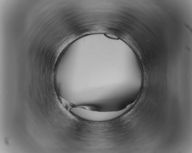 X0000098200805200805221540