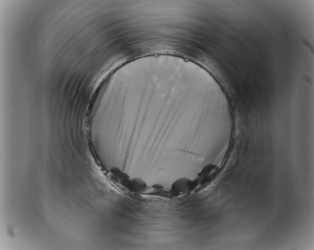 X0000098200806200805221540