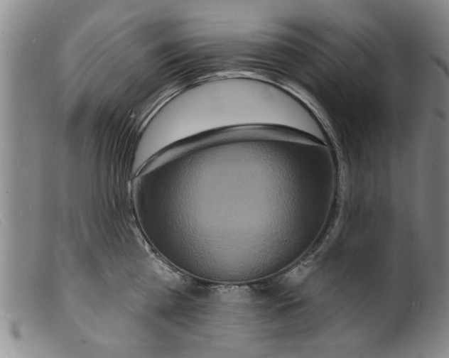 X0000098200809200805221540