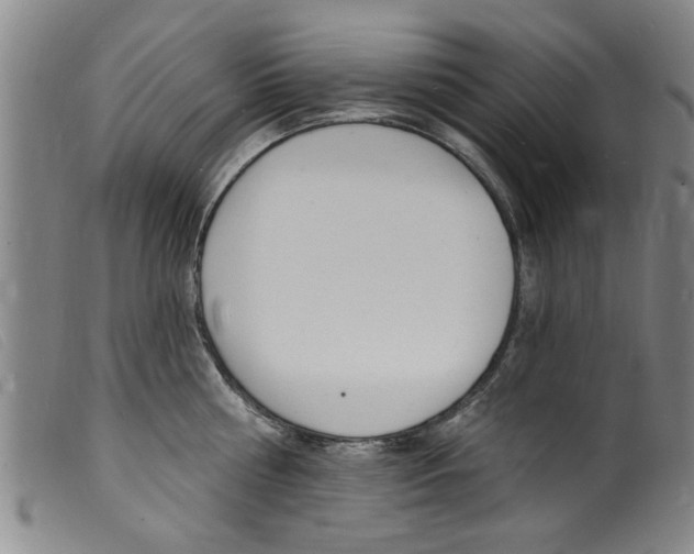 X0000098200810200805221540