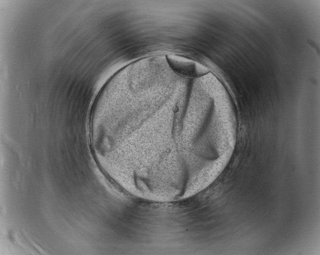 X0000098200811200805221540