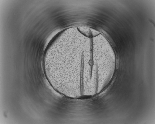 X0000098200812200805221540