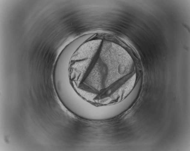 X0000098200813200805221540
