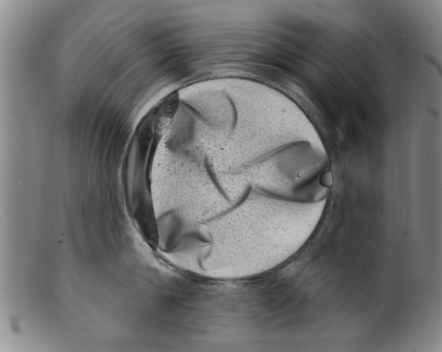 X0000098200814200805221540