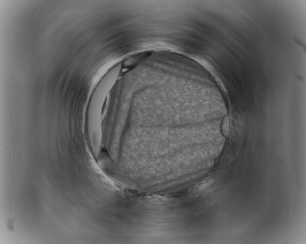 X0000098200815200805221540