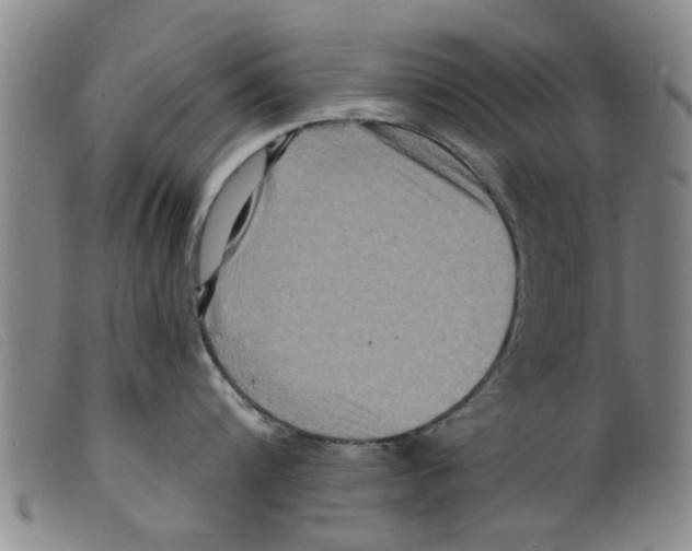 X0000098200816200805221540