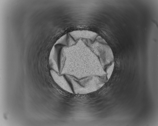 X0000098200817200805221539