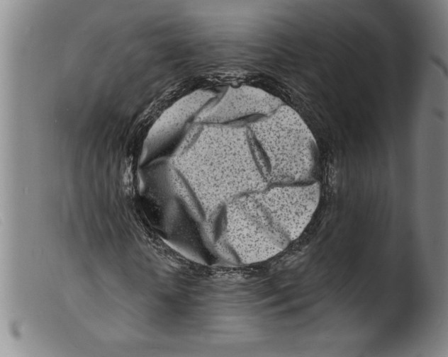 X0000098200818200805221539
