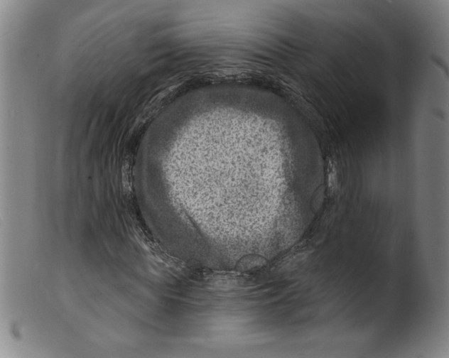 X0000098200819200805221539