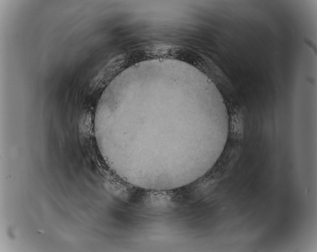 X0000098200820200805221539