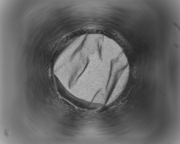 X0000098200821200805221539