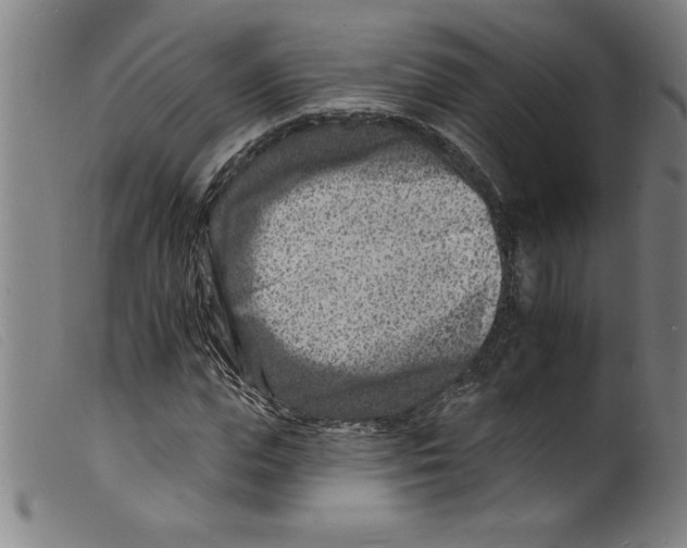 X0000098200823200805221539