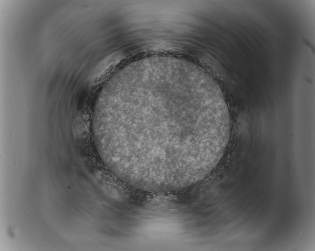 X0000098200824200805221539