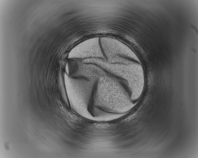 X0000098200825200805221539