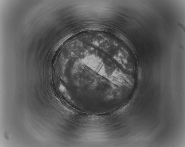 X0000098200829200805221539