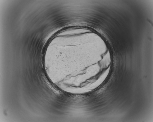 X0000098200830200805221539
