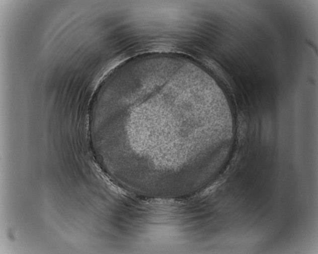 X0000098200831200805221539