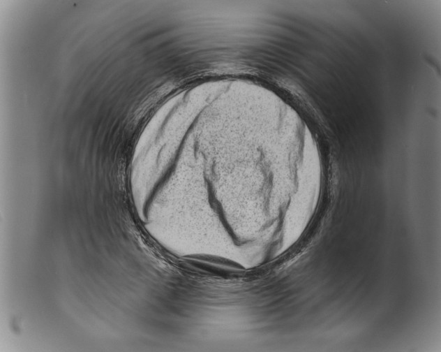 X0000098200833200805221539