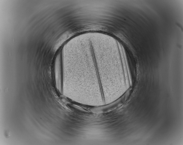 X0000098200834200805221539