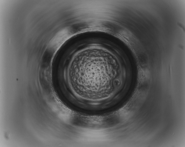 X0000098200836200805221539