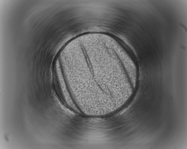 X0000098200837200805221539