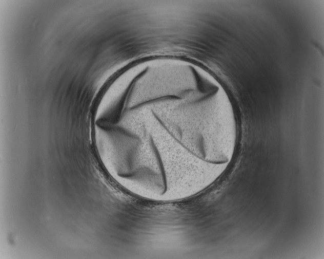 X0000098200838200805221539