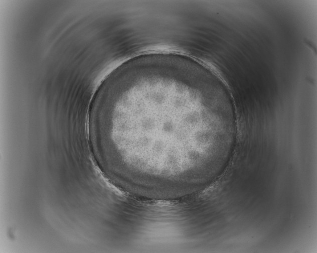 X0000098200839200805221539