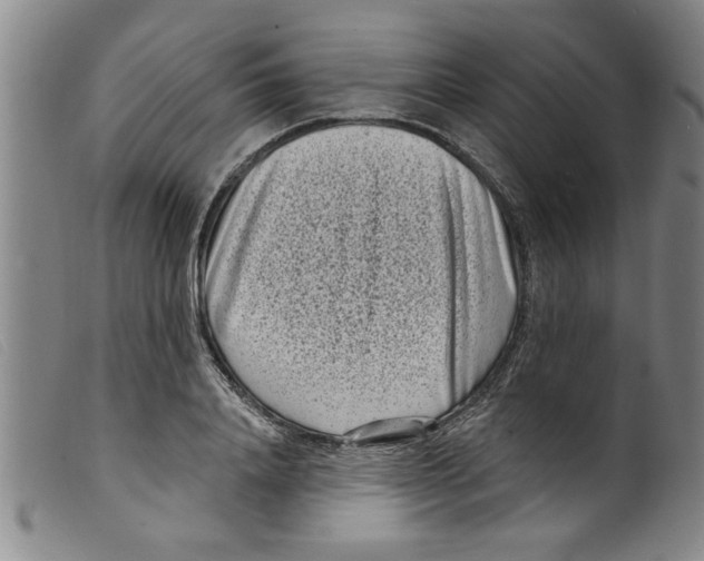 X0000098200840200805221539