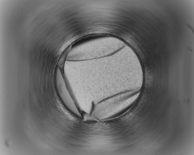 X0000098200842200805221539