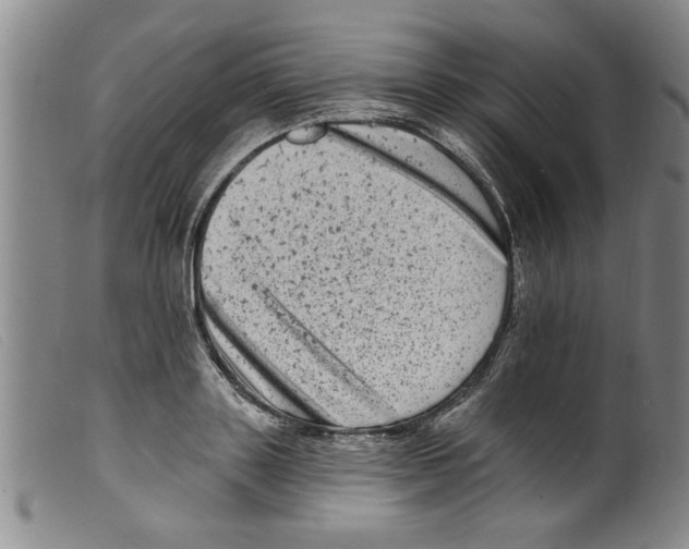 X0000098200843200805221539