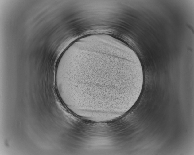 X0000098200844200805221539
