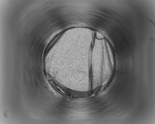 X0000098200845200805221540