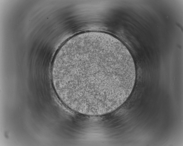 X0000098200848200805221540