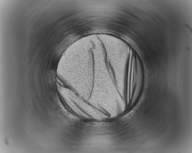 X0000098200849200805221540