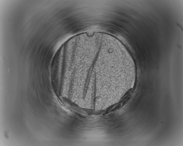 X0000098200854200805221540