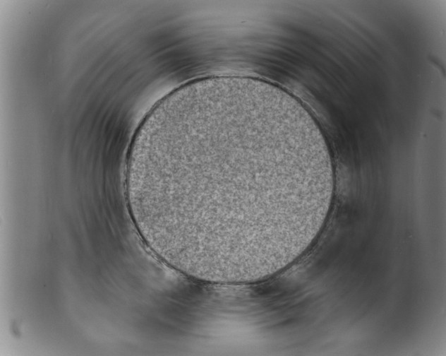 X0000098200856200805221540