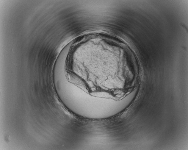 X0000098200858200805221540