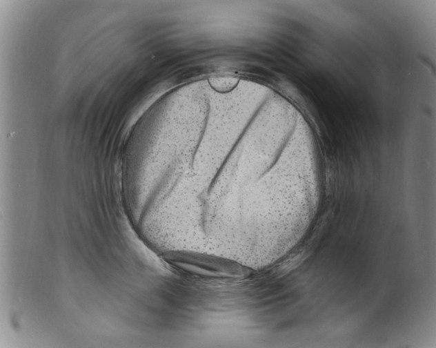 X0000098200859200805221540