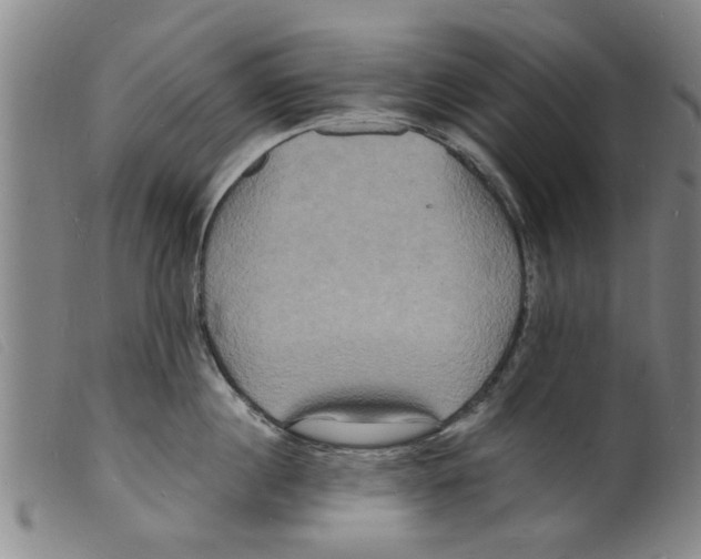 X0000098200860200805221540