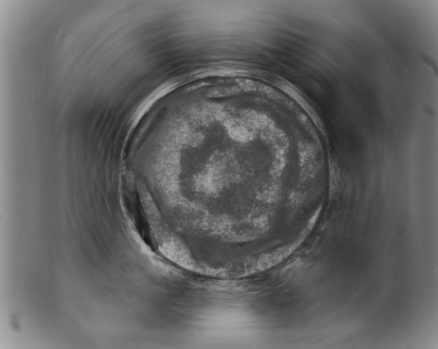 X0000098200861200805221540