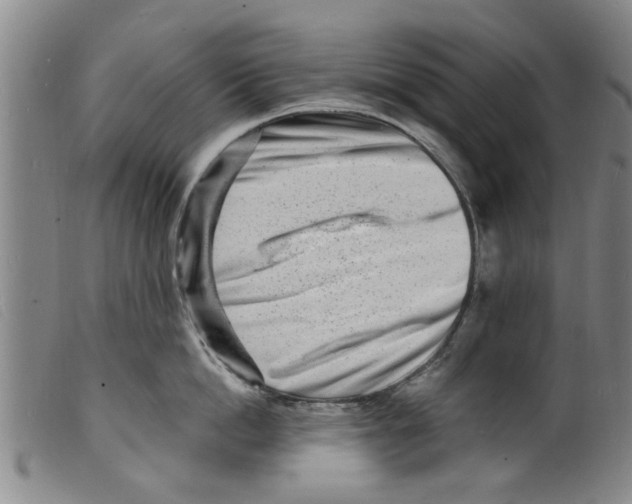 X0000098200862200805221540