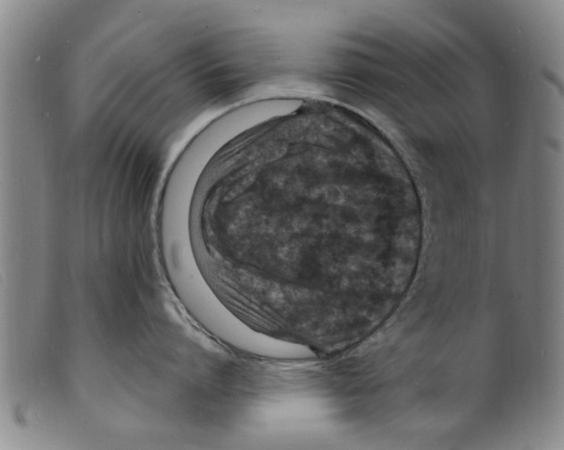 X0000098200864200805221540