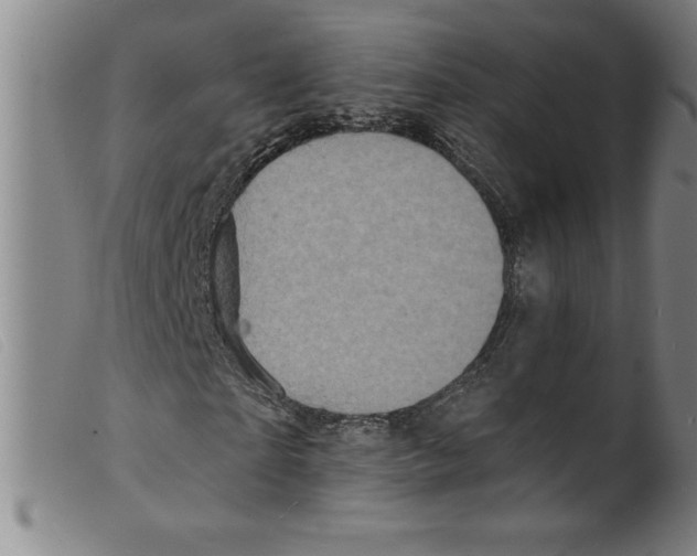 X0000098200865200805221539