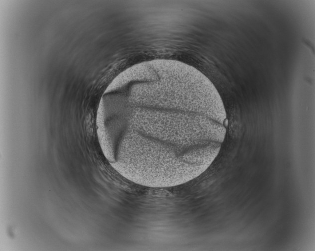 X0000098200866200805221539