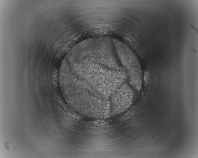 X0000098200867200805221539