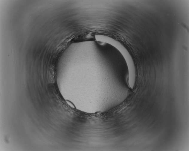 X0000098200868200805221539