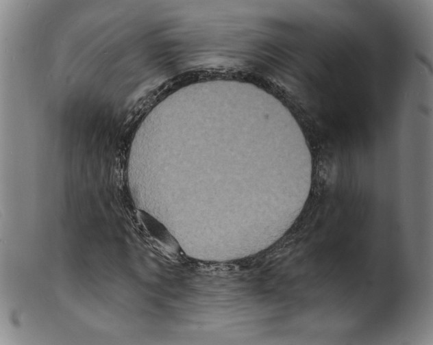 X0000098200869200805221539