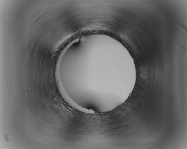 X0000098200872200805221539